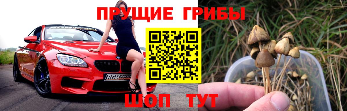 Нижний Новгород  Псилоцибиновые грибы MAGIC MUSHROOMS  Вход с VPN 